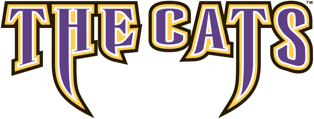 Western Carolina Catamounts 1996-2007 Wordmark Logo 02 iron on paper